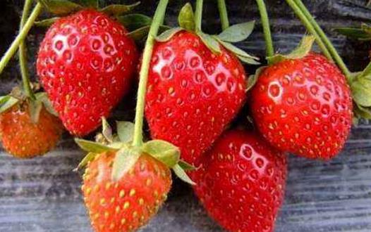 草莓的營養(yǎng)價值 食用草莓對防治冠心病有益處
