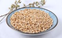 炎炎夏日健脾益氣 四道與小麥有關的湯水