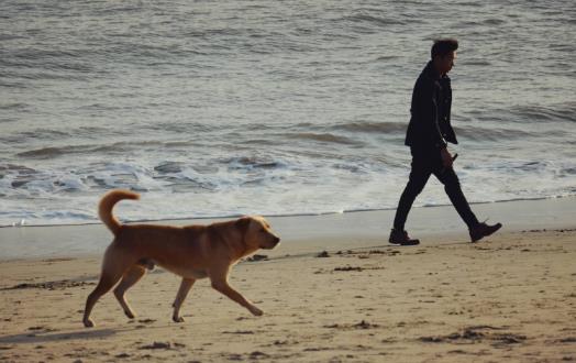 散步可以讓身體放松強身健體 散步的講究