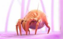 床單枕巾多久清洗一次 超過這個(gè)時(shí)間螨蟲會(huì)成千上萬