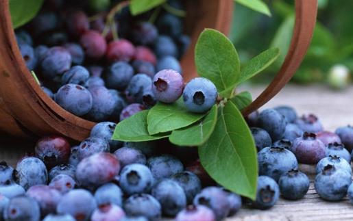 幫助女性防衰老抗色斑的水果 女性要常吃