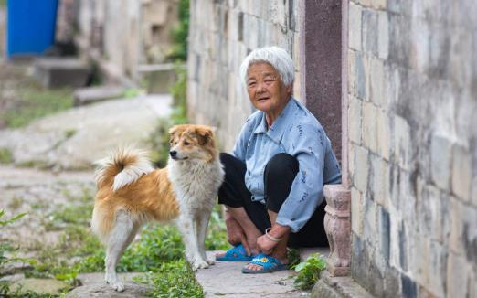 養(yǎng)個(gè)寵物 對(duì)老人的心理和心情都是十分有益