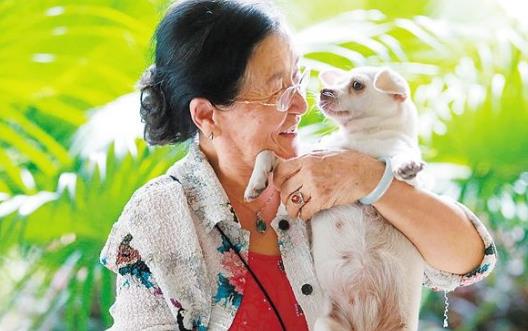 養(yǎng)個(gè)寵物 對(duì)老人的心理和心情都是十分有益