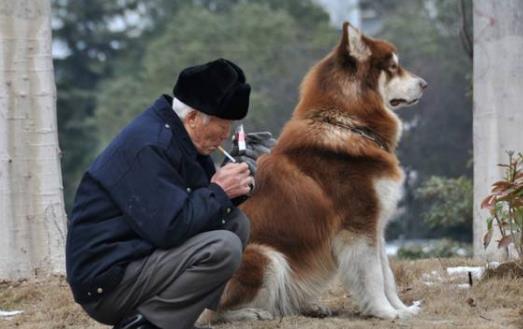 養(yǎng)個(gè)寵物 對(duì)老人的心理和心情都是十分有益