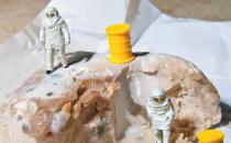 減少食物浪費同時能夠保護身體健康 光盤行動在繼續