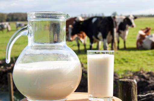 增強(qiáng)記憶延緩衰老 常吃這13種食物提高記憶力法則