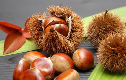 想要養好脾虛 脾胃調理四個養生方