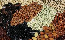 教你食療法促生發 對生發有幫助的食物和禁忌