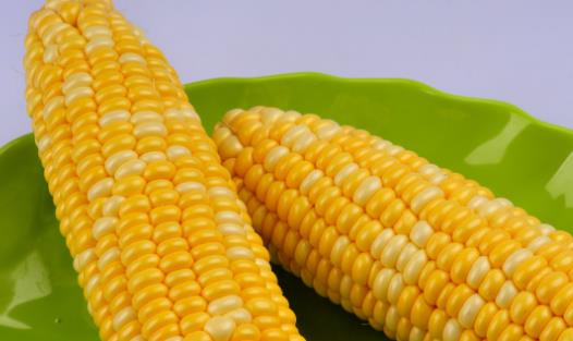 出現內分泌失調 可以調理內分泌失調的食物