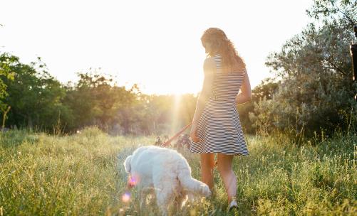 使用電腦易脫發 導致脫發的6個壞習慣