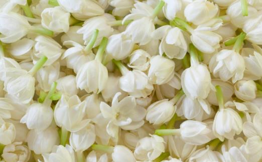 花卉入菜既美味又養生 介紹幾款清新的花卉美食