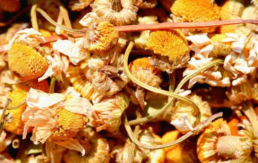 滋補性中藥對老年人最為適宜 適合老年人吃的中藥 