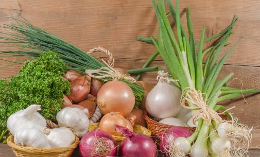 預(yù)防老年健忘的妙招 通過(guò)聯(lián)想記人名