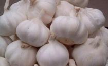 蔬菜提供需要的營養 公認的含有最高營養價值的10種蔬菜