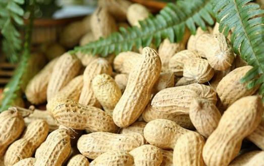 老人的飲食要選擇 適合老人吃的八種營養(yǎng)食物