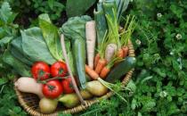 國(guó)民蔬果攝入不足 蔬果吃太少對(duì)身體的影響大