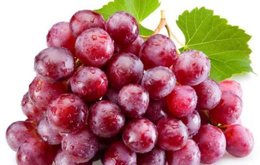 導致老人健忘的原因 補充營養又健腦的10種食物