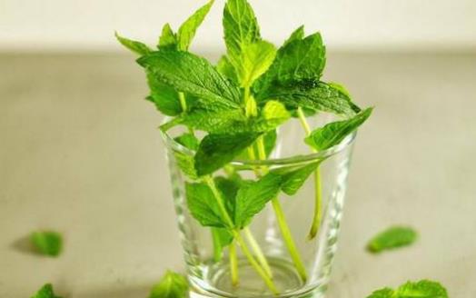 老人護牙必須知道的7個誤區 能保護牙齒的9種食物