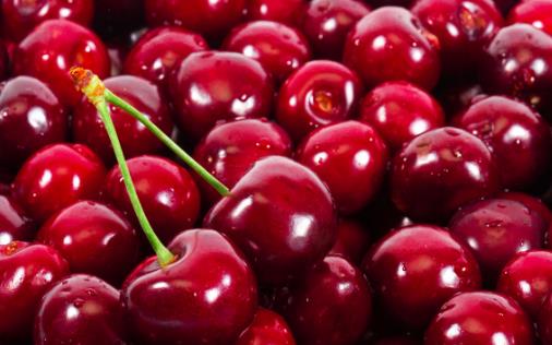 車?yán)遄又录毙晕改c炎 吃車?yán)遄右⒁膺@些