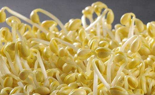 蔬菜有最佳的瘦身功效 美容美體的超級(jí)食品