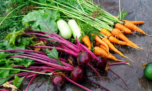 公認12條健康吃飯的黃金標準!你達標了嗎?