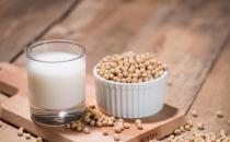 老人喝豆漿養生要注意的禁忌 豆漿的藥膳食譜推薦