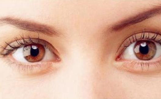 教師是職業病高發 預防教師職業病的飲食方法