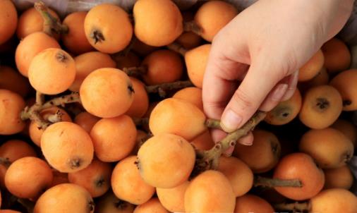 草莓的哪些功效對老人養生呢