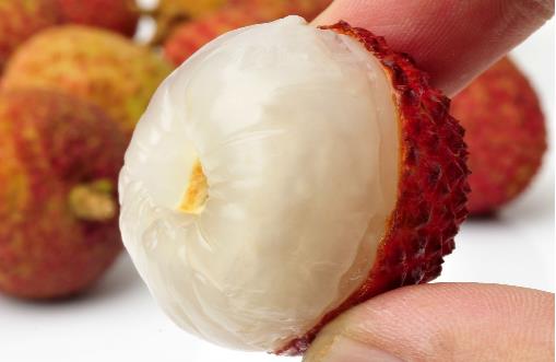 刷新 翻看 我 荔枝不僅好吃，養生功效你知道不