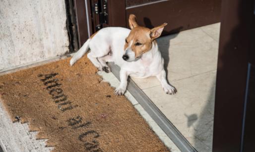 細菌入侵危害身體 十大容易出現細菌的地方 