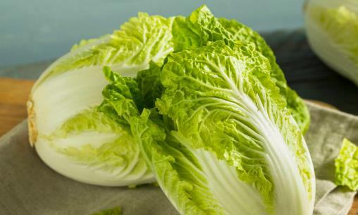 白菜上的小黑點是什么能不能吃 吃大白菜的禁忌分享