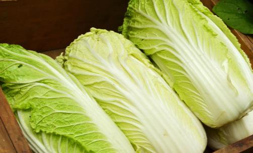 白菜上的小黑點是什么能不能吃 吃大白菜的禁忌分享