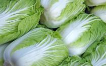 ?白菜上的小黑點是什么能不能吃 吃大白菜的禁忌分享