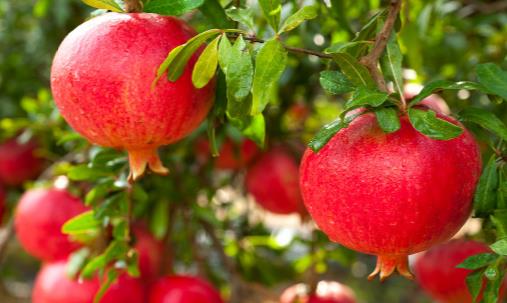 冬季女孩皮膚經(jīng)常干燥 怎么補水保濕好