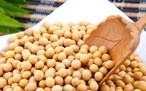 女性更年期可以吃豆腐嗎?豆制品里的大豆異黃酮,對(duì)女性