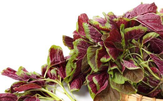 莧菜被人們譽為長壽菜 炒莧菜的四種做法