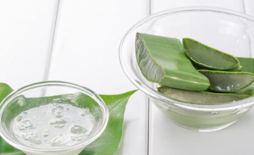 蘆薈果汁的功效與作用 蘆薈果汁的營養價值