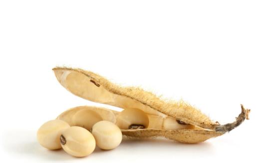 15種健康減肥食品 輕松吃出好身材