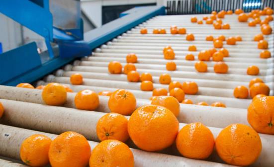 水果打蠟是很普遍的現象 打蠟的水果對人體真的有害嗎