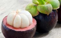 山竹被譽為果中之后 營養豐富抗氧化作用超強