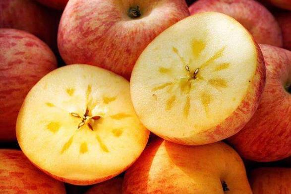 冰糖心蘋果的糖心是怎么形成的？冰糖心是蘋果得了糖心病(水心病)
