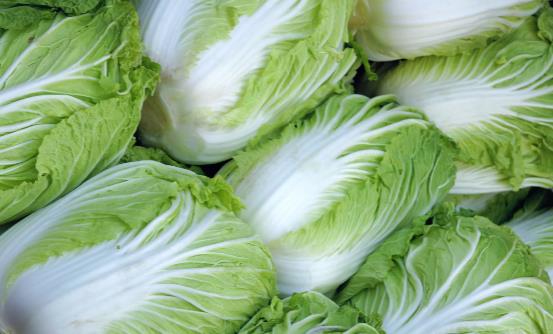 腸胃不好吃些什么好？分享七種常見食物