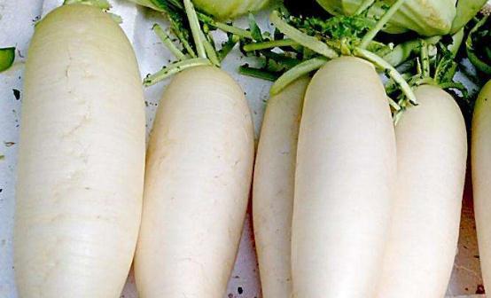 白蘿卜有小人參的稱號 白蘿卜在養生保健中的不同用法