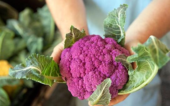 老年斑并不是老年人的專利 預防和延緩老年斑發生的食物