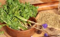 香菜適合秋冬感冒多發季食用 但這幾種人吃卻是沒病找病