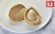 怎樣挑選優質的鮑魚？I&J鮑魚選購技巧大有講究