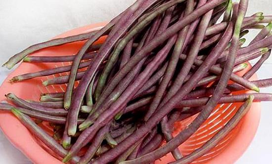 八月豆為人體補充豐富氨基酸 八月豆的食用方法