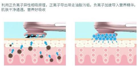美容不止Refa和露娜,這才是年輕養(yǎng)生黨想要的