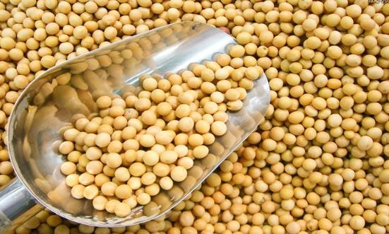 用大豆異黃酮類產品來保養身體 大豆異黃酮對人體的7大作用