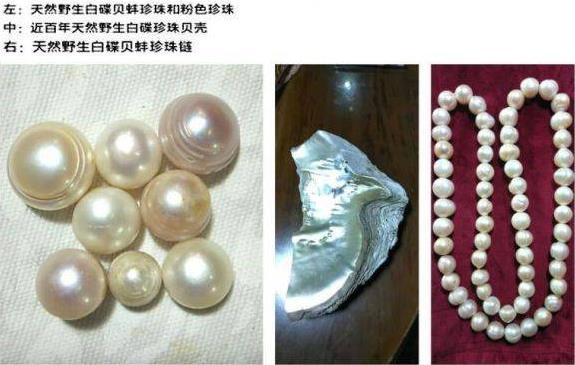 廣東省吳志標論 文入選首屆媽祖文化走進聯合國論壇